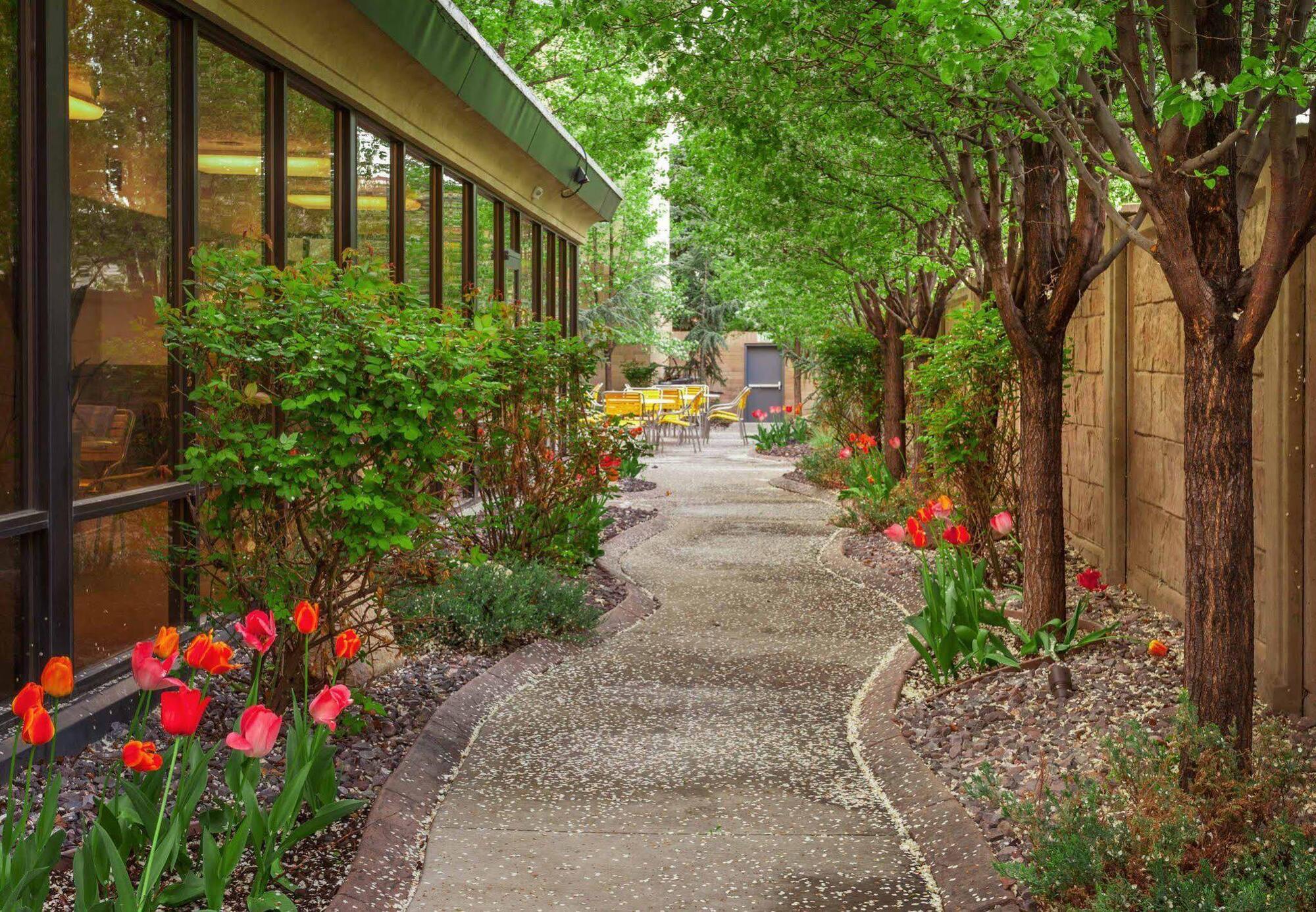 Courtyard By Marriott Salt Lake City Downtown Exteriér fotografie